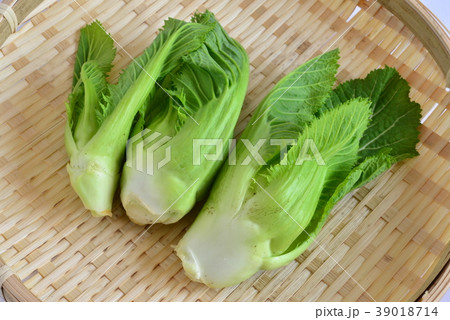 子持ち高菜・春野菜 39018714
