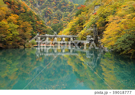 ダム湖と紅葉 39018777