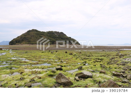 天草市の亀島 天草市の亀島 39019784