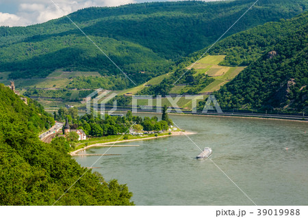 Vineyards at Rhine Valley in Germany 39019988