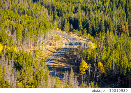 Highway at autumn in Colorado, USA. 39019989