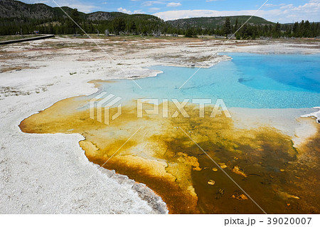 Hot thermal spring in Yellowstone Hot thermal spring in Yellowstone 39020007