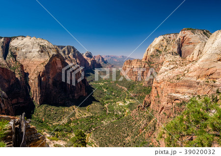Landscape in Zion National Park Landscape in Zion National Park 39020032