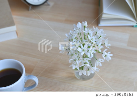 机上の花　コワニー 39020263