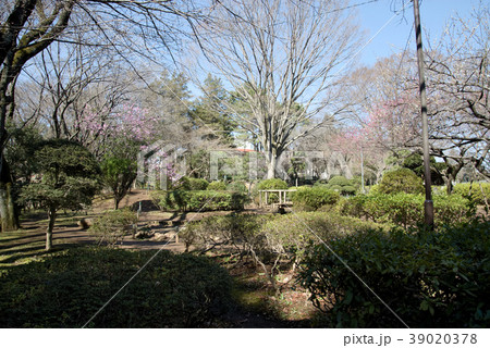 習志野台近隣公園周辺 習志野台近隣公園周辺 39020378