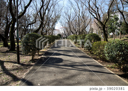 習志野台近隣公園周辺 39020381