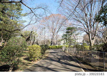 習志野台近隣公園周辺 39020383