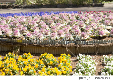 習志野台近隣公園周辺 39020394
