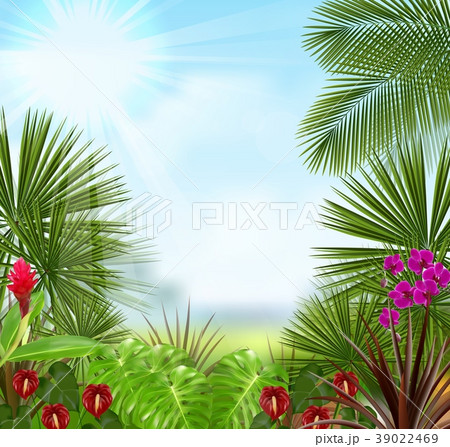 Beautiful tropical in the morning with a tree and  39022469