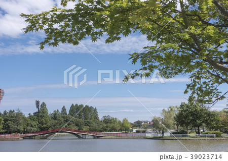 気持ちが良い快晴天青空に映える開成山公園五十鈴湖 39023714