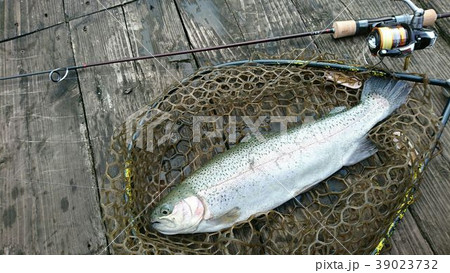 トラウトフィッシング 39023732