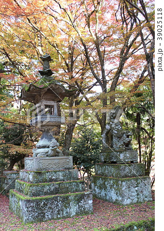 鰐淵寺の狛犬 鰐淵寺の狛犬 39025118