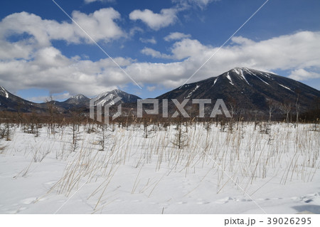 冬の戦場ヶ原の写真素材