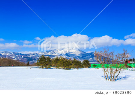 磐梯山SAからの磐梯山　東北冬景色　【福島県耶麻郡磐梯町】 39028390