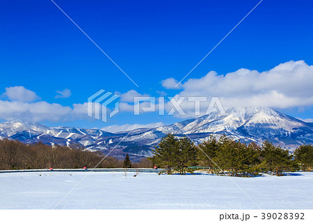 磐梯山SAからの磐梯山　東北冬景色　【福島県耶麻郡磐梯町】 39028392