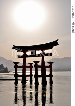 厳島神社の夕日 厳島神社の夕日 39029440