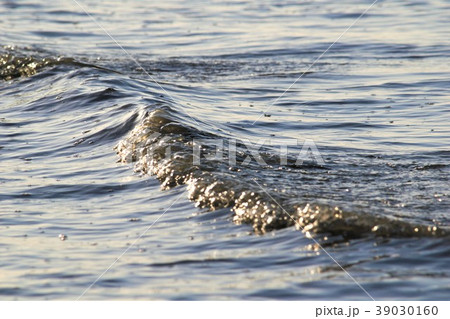 満ち潮 39030160