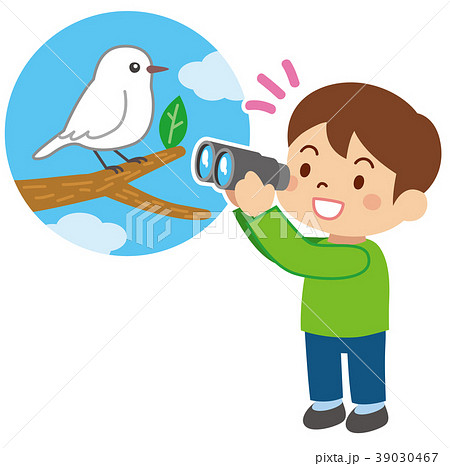 野鳥を観察する子供 39030467