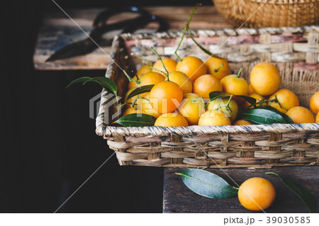 Marian plum fruits Marian plum fruits 39030585