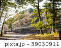 吊り橋 39030911