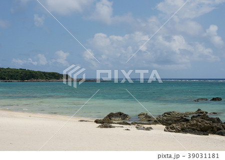 用安海岸　奄美大島 39031181