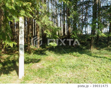 鎌倉街道遺跡 川角古墳群 鎌倉街道遺跡 川角古墳群 39031475