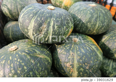 かぼちゃ かぼちゃ 39031629