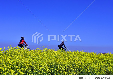 春先の河川敷で菜の花が咲く自転車道のサイクリング 春先の河川敷で菜の花が咲く自転車道のサイクリング 39032458