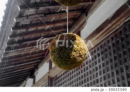 松尾大社の杉玉-3 39035390