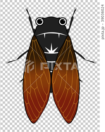 セミのイラスト素材