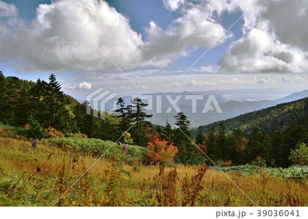 西吾妻山 39036041