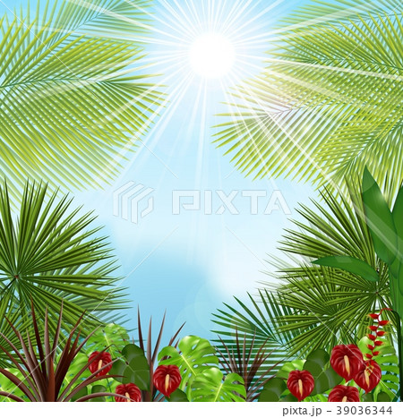 Beautiful tropical in the morning with a tree and Beautiful tropical in the morning with a tree and 39036344