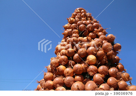 玉葱タワー 39036976