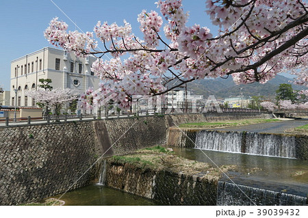 芦屋川の桜 39039432