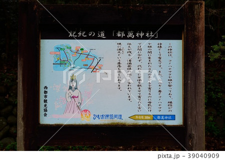 宮崎県西都市 都萬神社(つまじんじゃ) 宮崎県西都市 都萬神社(つまじんじゃ) 39040909