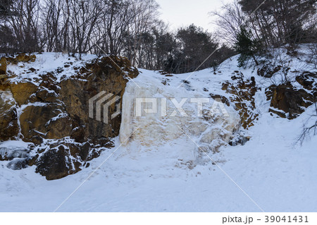 イエローフォール 39041431