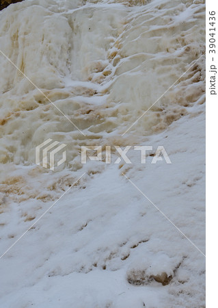 イエローフォール 39041436