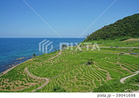白米千枚田 白米千枚田 39041698
