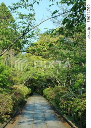 京都の細道(清水寺周辺) 京都の細道(清水寺周辺) 39041769
