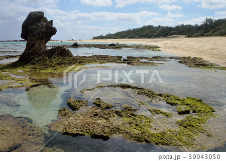 土盛海岸 土盛海岸 39043050