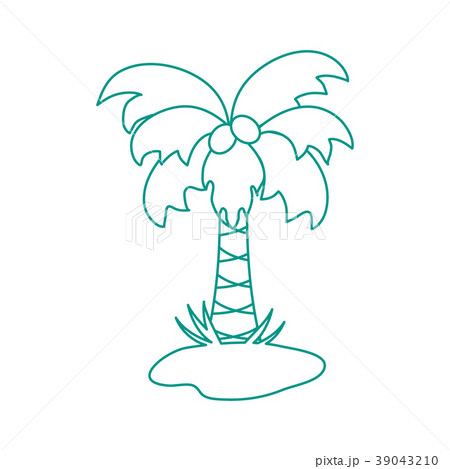 Cute vector icon of the palm tree Cute vector icon of the palm tree 39043210