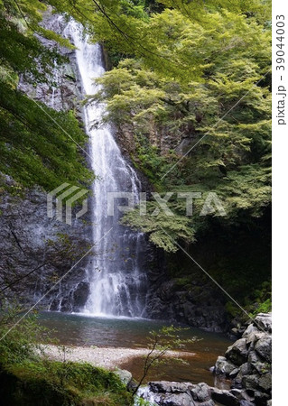 日本の滝 39044003