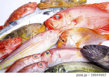 魚 盛り合わせ 魚 盛り合わせ 39044007