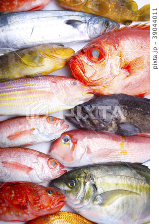 魚 盛り合わせ 魚 盛り合わせ 39044011