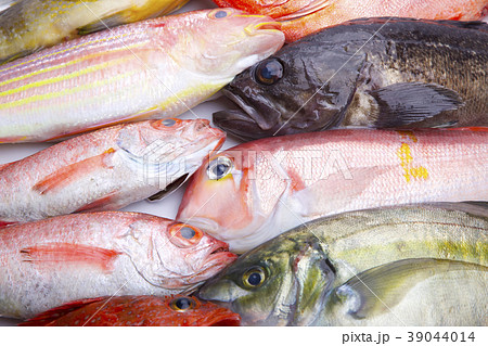 魚　盛り合わせ 39044014
