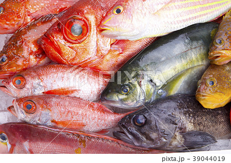 魚　盛り合わせ 39044019
