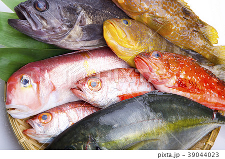 魚　盛り合わせ 39044023