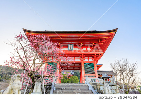 京都 春の清水寺 仁王門の写真素材