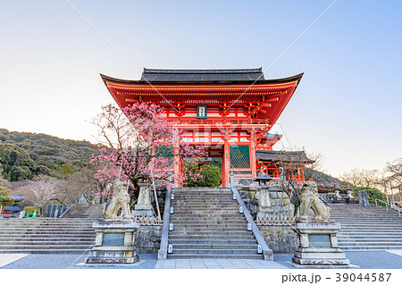 京都 春の清水寺 仁王門の写真素材