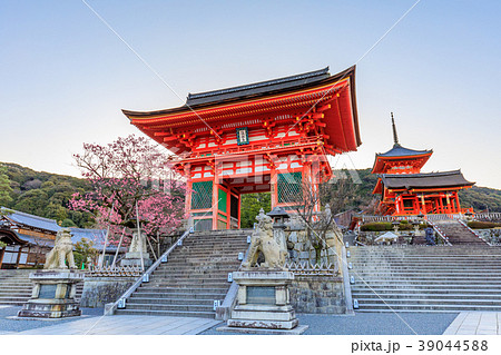 京都 春の清水寺 仁王門と三重塔の写真素材